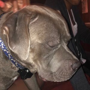 Meet your Posher, Aija